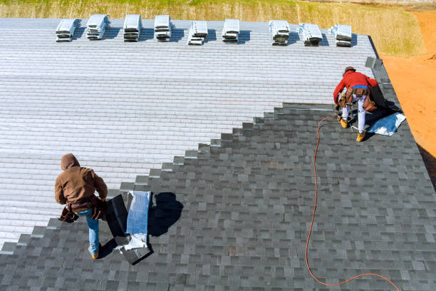 Best Roof Ventilation Installation  in Wright City, MO